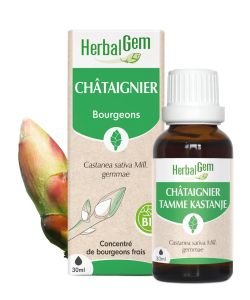 Châtaignier (Castanea vesca) bourgeon BIO, 30 ml